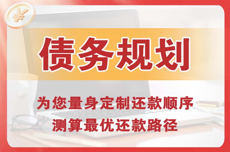 老河口债务规划